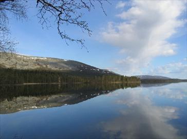 Lake Pallasjärvi